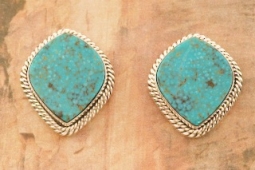 Artie Yellowhorse Genuine Mineral Park Turquoise Sterling Silver Post Earrings